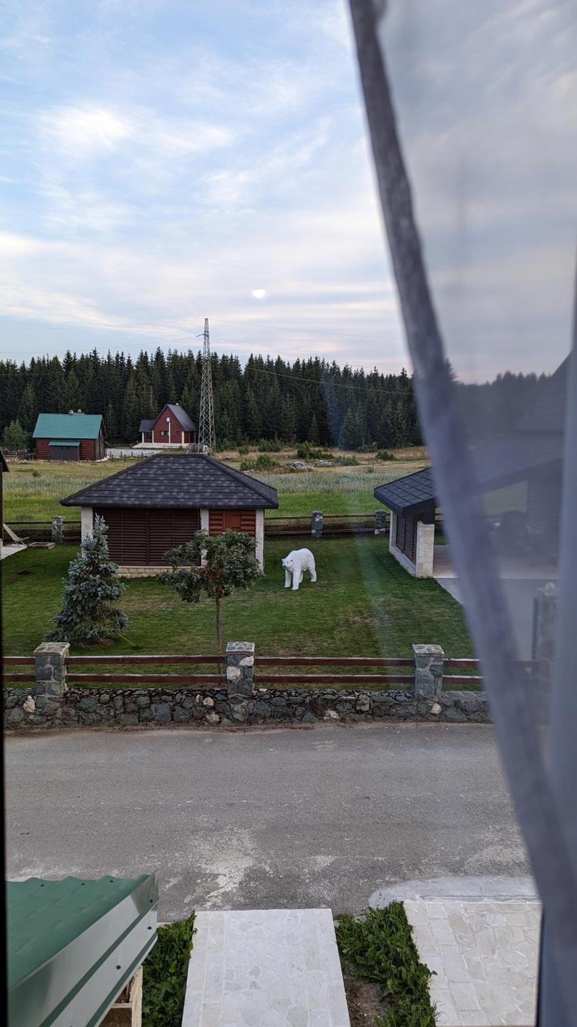 Mountain Haven Deluxe Apartment Žabljak Екстериор снимка
